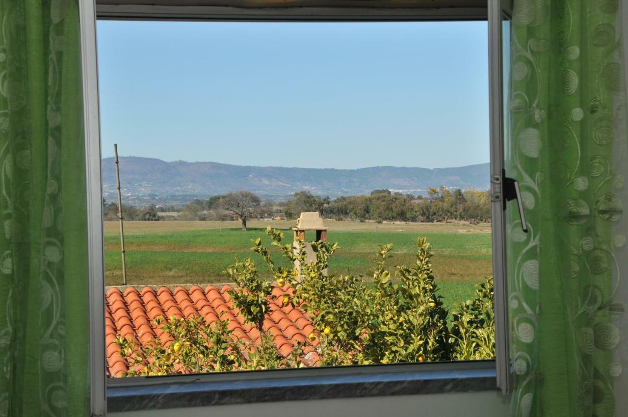 Casa Da Lardosa Hotel Kültér fotó